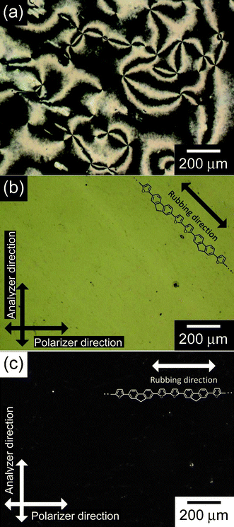Polarizing optical microscope images of the unoriented polymer (a), and the oriented polymer film under the cross Nicol condition, in which angles between the rubbing direction and the polarizer direction are (b) 45° and (c) 0°.