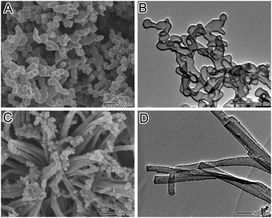 (A, B) SEM and TEM images of as-prepared PPy capsules. (C, D) SEM and TEM images of as-synthesized PPy nanotubes.