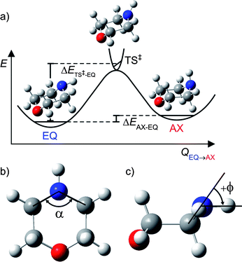 (a) Schematic potential energy profile along the reaction coordinate (QEQ→AX) for interconversion between the EQ and AX conformers of ground state morpholine; (b) definition of α, the C–N–C internal angle; (c) illustration of ϕ, the angle made by the N–H bond with the C–N–C plane.