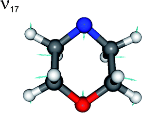 Nuclear motions associated with the ν17 mode of the morpholinyl radical.