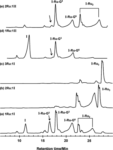 HPLC chromatograms for reaction of [(η6-tha)Ru(en)Cl]+ (1) with single-stranded (ss) d(CGGCCG) (I) (0.1 mM in H2O) at Ru : I mol ratios of (a) 1 : 1, (b) 2 : 1, and (c) 3 : 1, and for reaction of 1 with duplex d(CGGCCG)2 (II) (0.34 mM, 0.1 M NaClO4, 90% H2O/10% D2O) at a Ru : II mol ratio of (d) 1.1 : 1 and (e) 2 : 1. The mono-ruthenated duplex II-Ru1 elutes as mono-ruthenated ss-DNA I (I-Ru-G3 and I-Ru-G6; species I-Ru-G3 and I-Ru-G9 are identical, as are I-Ru-G6 and I-Ru-G12); di-ruthenated duplex II-Ru2 elutes as mono-ruthenated ss-DNA I (I-Ru-G3 and I-Ru-G6, see (d)), and di-ruthenated ss-DNA I (I-Ru2, see (e)). It is notable that G2 is readily ruthenated for single strand I (see I-Ru-G2 in (a)) but not for duplex II in (d). Little ruthenation on G8 was observed when 1 mol equiv. of 1 was added to mono-ruthenated duplexes II-Ru-G3 and II-Ru-G6 (e). Ru = {(η6-tha)Ru(en)}2+ (1′), and is bound to G3N7 or G6N7; for DNA sequence, see Fig. 1 and Scheme 1.