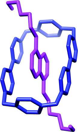 The wireframe representation of [BHEAN⊂CBPQT]·4PF6 solid-state superstructure. The PF6− counterions, solvent molecules, and H atoms have all been removed for clarity. Color code: CBPQT4+, blue; BHEAN, pink.