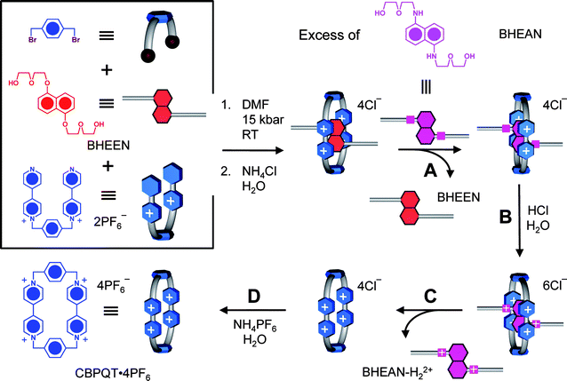 Schematic representation of the template-directed synthesis and the subsequent purification steps in order to obtain CBPQT·4PF6 using BHEAN as a template-exchanging reagent. The CBPQT4+ ring was first of all constructed using BHEEN as the template under 15 kbar pressure in DMF. The purification steps involved (A) addition of BHEAN to an aqueous solution of [BHEEN⊂CBPQT]·4Cl, resulting in the substitution of BHEEN by BHEAN to form [BHEAN⊂CBPQT]·4Cl. (B) The subsequent protonation of the aromatic amino functionalities in BHEAN (by addition of conc. HCl) (C) effected the decomplexation of BHEAN from the cavity of the CBPQT4+ ring as a result of Coulombic repulsion. Note: The hypothetical [BHEAN-2H⊂CBPQT]·6Cl species is included for conceptual purposes only. Indeed, the decomplexation may occur after the mono-protonation of BHEAN. (D) A counterion exchange with NH4PF6 produced a white precipitate of CBPQT·4PF6, which was filtered and washed several times with H2O in order to isolate a high quality product.