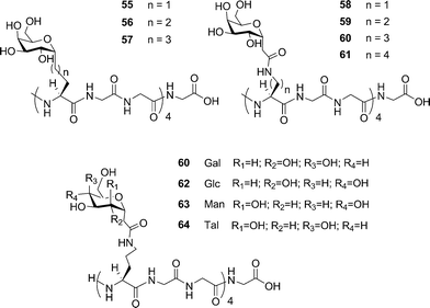 
          C-linked AFGP analogues used to study the influence of the side chain length and the influence of hydration.