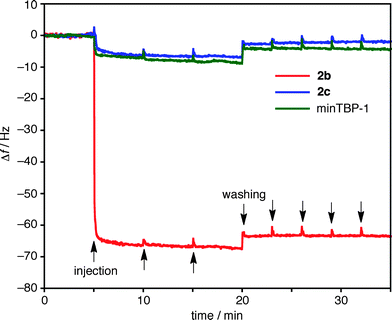 Changes in resonance frequency (f) of a Ti sensor as a function of time in QCM measurements. Binding and dissociation profiles for 2b (red line), 2c (blue line), and minTBP-1 (green line) (H2O : DMSO = 95 : 5 (v/v), 9.5 mM HEPES, pH 7.5, RT).