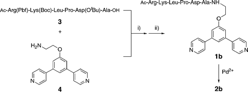 Preparation of ligand 1b and sphere 2b with pendant aptamers. (i) HBTU, HOBt, DIPEA; (ii) CF3COOH.