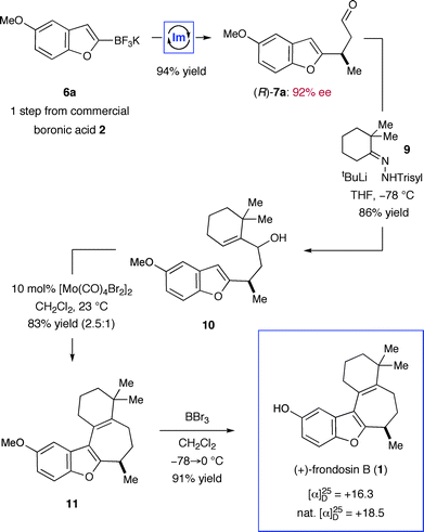 First generation, five-step total synthesis of (+)-frondosin B. (Trisyl = 2,4,6-triisopropylbenzenesulfonyl).