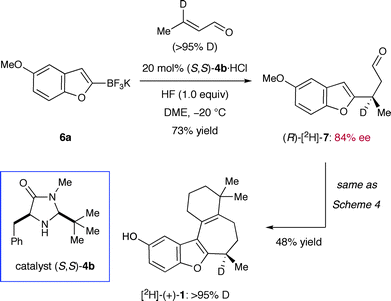 Chemical stability of the C-8 stereogenic center.