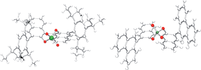 Molecular structures of Brønsted acids 1c (left) and 1e (right).