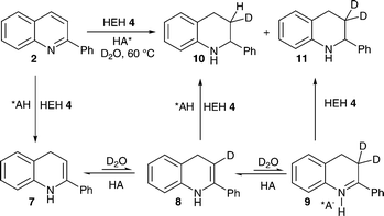 Brønsted acid catalysed deuteration in the reaction sequence 1,4-hydride addition, protonation and 1,2-hydride addition.