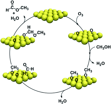 Catalytic cycle for the oxidative self-coupling reactions of methanol on gold single crystal surfaces.