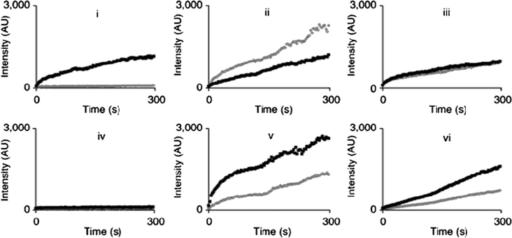 The enzyme-catalyzed hydrolysis of the S- and R-enantiomers of the napthalene-based azo-benzotriazole dye substrate were monitored, dark trace, S-enantiomer; light trace, R-enantiomer. Concentrations were 1.4 μg ml−1 enzyme and 7.1 × 10−7 M substrate. Enzymes used: i, Alcaligenes spp. lipase; ii, Candida cylindracea lipase; iii, Candida rugosa esterase; iv, Penicillium camemberti lipase; v, Pseudomonas stutzeri lipase; vi, Rhizopus oryzae lipase. (Reproduced by permission from Macmillan Publishers Ltd. Ref. 53, copyright 2004).