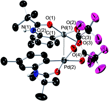 ORTEP plot of dimeric Pd complex 3a. All H atoms (except for the amide H) have been omitted for clarity. The complex contains two independent molecules in the asymmetric unit exhibiting minor geometric differences. For more details, see ESI. Anisotropic displacement ellipsoids are shown at the 50% probability level. Selected bond lengths (Å) and angles (°) for 3a: Pd(1)–Pd(2) = 2.9233(9), Pd(1)–O(1) = 1.997(6), Pd(1)–C(1) = 1.947(9), C(2)–O(1) = 1.271(9), C(2)–N(1) = 1.312(10), Pd(1)–O(2) = 2.201(5), Pd(1)–O(3) = 2.058(6), N(1)–C(2)–O(1) = 121.4(8), C(1)–Pd(1)–O(1) = 91.6(3), C(1)–Pd(1)–O(3) = 91.9(3), O(2)–Pd(1)–O(3) = 90.0(2), O(2)–Pd(1)–O(1) = 86.3(2), O(2)–C(3)–O(4) = 130.1(8). In the second structure, the Pd–Pd bond distance was determined to be 2.9515(9).