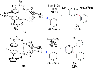 Direct phenylation of dimeric Pd complexes 3a and 3b in the presence of Na2S2O8 and TFA. Conditions: Na2S2O8, 2 equiv.; TFA, 1.1 equiv.