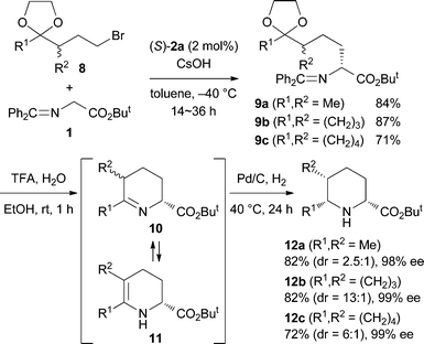 Stereoselective synthesis of 2,5,6-trisubstituted piperidines 12.