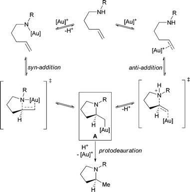 Proposed syn- and anti-mechanisms for the gold(i)-catalyzed hydroamination of alkenes.