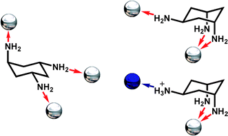 Possible coordination modes of trans-tach in the open (left) and ring-flipped (right) conformations. Coordinate bonds are shown as red arrows, hydrogen bonds as a blue arrow, while the possible positions for coordinated metal ions are represented as silver spheres, and hydrogen-bonded anions as blue spheres.