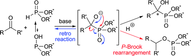 Possible side reactions of hydrophosphonylation of ketones under basic conditions.