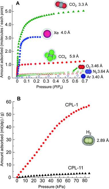 Adsorption isotherms. A, Adsorption isotherms on CPL-11 for CO2 (filled green triangles), Xe (blue filled squares), CCl4 (red filled circles), O2 (green open squares), N2 (red open triangles) and Ar (blue open circles) at temperatures of 195, 195, 298, 77, 77 and 77 K, respectively. The pressure range is from 10−4 to 0.7 of P/P0. B, Adsorption isotherms for H2 on CPL-1 (red circles) and CPL-11 (black triangles) at 77 K in the pressure range from 0 to 85 kPa.