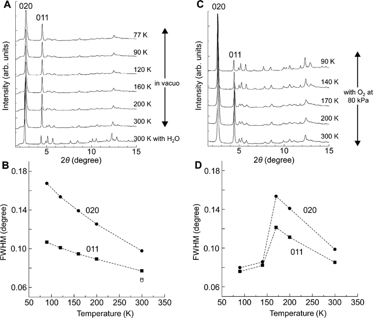 
            In situ synchrotron XRPD patterns of CPL-11 and the variation of the values of FWHM for the 020 and 011 peaks. The radiation wavelength is 0.80 Å. 2θ ranges from 3.5 to 15.0°. A, The XRPD patterns of as-synthesized CPL-11 and dried CPL-11 with cooling from 300 to 77 K. B, The variation of the values of FWHM for the 020 and 011 peaks shown in Fig. 6A. An open circle and an open square indicate the values of the 020 and 011 peaks of as-synthesized CPL-11 at 300 K, respectively. Solid circles and solid squares indicate the values of the 020 and 011 peaks of dried CPL-11, respectively. C, The XRPD patterns of dried CPL-11 with O2 at 80 kPa with cooling from 300 to 90 K. D, The variation of the values of FWHM for the 020 and 011 peaks shown in Fig. 6C. Solid circles and solid squares indicate the values of the 020 and 011 peaks, respectively.