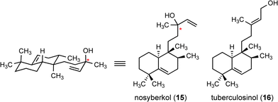 Structures of nosyberkol and tuberculosinol. Stereochemistry is unassigned at the starred (*) carbon.