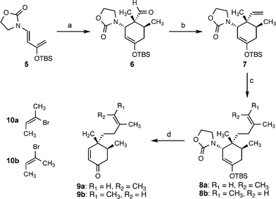 Diels–Alder-mediated synthesis of enones 9a,b. Conditions: (a) tiglaldehyde, toluene, 120 °C, 80%; (b) Ph3PCH3Br, n-BuLi, THF, 0 °C, 67%; (c) 8a: 9-BBN, THF, reflux; then 10 mol% PdCl2(dppf), aq. K3PO4, 10a, DMF, 50 °C; 8b: 9-BBN, THF, reflux; then 10 mol% PdCl2(dppf), aq. K3PO4, 10b, DMF, 50 °C; (d) 9a: TBAF, THF, 86% (2 steps); 9b: TBAF, THF, 100% (2 steps). 9-BBN = 9-borabicyclo(3.3.1)nonane; dppf = 1,1′-bis(diphenylphosphino)ferrocene; TBAF = tetra-n-butylammonium fluoride.