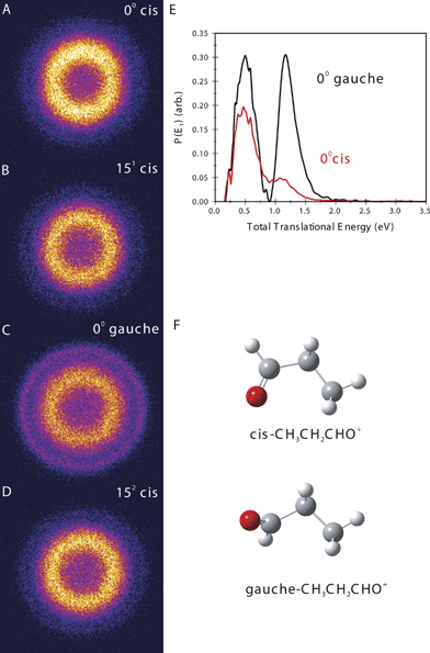 Sliced ion images of the C3H5O+ product of propanal cation photodissociation, starting from the indicated conformer and vibrational level (A–D). (E) Total translational energy distributions from the images in (A) to (D) for dissociation from the cis origin (red line) and gauche origin (black line). (F) Equilibrium structures for the indicated propanal cation conformers.
