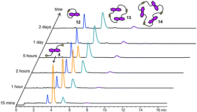 HPLC analysis of a 5 mM DCL of 4 at different time intervals. Absorbance was monitored at 292 nm. Peaks corresponding to different species are coloured accordingly.