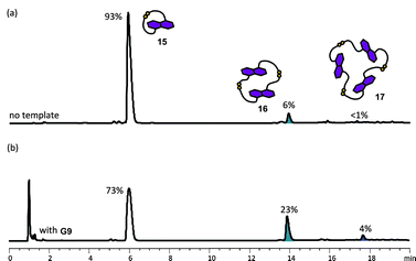 HPLC traces of DCLs of 5 mM of 5 (a) without template, and (b) with 2.5 mM of G9. Absorbance was monitored at 292 nm. The DCL material distribution is represented as percentages above the corresponding peaks. The amplified species are highlighted.