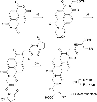 Synthesis of NDI dithiol 2. (i) Glycine, Et3N, DMF, 140 °C, μW, 5 min; (ii) N-hydroxysuccinimide, EDC·HCl, DMF, rt, 12 h; (iii) S-trityl-l-cysteine, Et3N, DMF, rt, 12 h; (iv) TFA, SiEt3H, rt, 2 h.