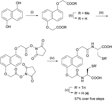 Synthesis of DN dithiol 4. (i) Methyl bromoacetate, K2CO3, acetone, reflux, 8 h; (ii) aq. NaOH/THF; (iii) N-hydroxysuccinimide, EDC·HCl, DMF, rt, 8 h; (iv) S-trityl-l-cysteine, Et3N, DMF, rt, 8 h; (v) TFA, SiEt3H, rt, 2 h.