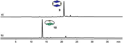 HPLC traces of a 5 mM DCL of (a) 2 and of (b) 3. Absorbance was monitored at 383 nm.