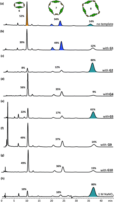 HPLC traces of DCLs of 5 mM of 1 (a) without template, and with 2.5 mM of (b) G1, (c) G2, (d) G4, (e) G5, (f) G9, (g) G10, and (h) with 1 M NaNO3. Absorbance was monitored at 383 nm. The DCL material distribution is represented as percentages above the corresponding peaks. The amplified species are highlighted.
