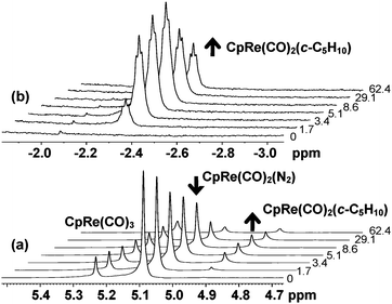 
            1H NMR (500 MHz) monitoring the photolysis of CpRe(CO)2(N2) containing ca 20% CpRe(CO)3 in 95% c-C5H10 /5% pentane-d12 in (a) the cyclopentadienyl and (b) the bound methylene proton region at 180 K. Each spectrum is 64 scans, processed with 1 Hz of line broadening. The formation of CpRe(CO)2(c-C5H10) is clearly observable.