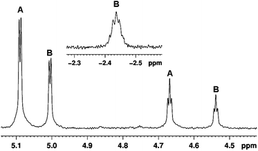 Low-field region of the 1H NMR spectrum obtained after 355 nm laser irradiation of Cp‡Re(CO)2(N2) (resonances labelled A) in cyclopentane at 190 K in the Cp region of the spectrum showing formation of Cp‡Re(CO)2(c-C5H10) (B); (inset) resonance due to the co-ordinated hydrogen of the cyclopentane in Cp‡Re(CO)2(c-C5H10). A Gaussian function was used to improve spectral resolution.