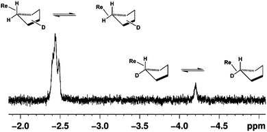 High-field region of the 1H NMR spectrum obtained after 355 nm laser irradiation of Cp‡Re(CO)2(N2) in c-C5H9D at 190 K.