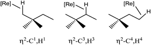 The three possible co-ordination sites of the [CpRe(CO)2] fragment along the 2,2-dimethylbutane chain.
