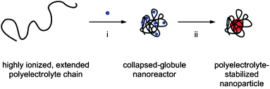 Synthesis of nanoparticles via counterion-induced polyelectrolyte collapse: (i) A solution of metal salt precursor (blue dot) is added to a solution of extended polyelectrolyte to induce a coil-to-globule transition. (ii) The collapsed nanoreactor is subjected to conditions for inorganic metal nanoparticle formation.