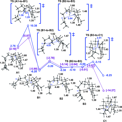 Conversion of A1 to C1via a pathway involving a 1,3-hydride shift. Computed distances (Å) and energies (kcal mol−1) are shown (B3LYP/6-31+G(d,p)//B3LYP/6-31+G(d,p) in blue and mPW1PW91/6-31+G(d,p)//B3LYP/6-31+G(d,p) in plum and brackets). Note that the B3-to-C1 transition state structure is lower in energy than B3 at the mPW1PW91/6-31+G(d,p)//B3LYP/6-31+G(d,p) level (mPW1PW91 single point energies on geometries optimized with B3LYP), suggesting that this conversion may actually be barrierless.