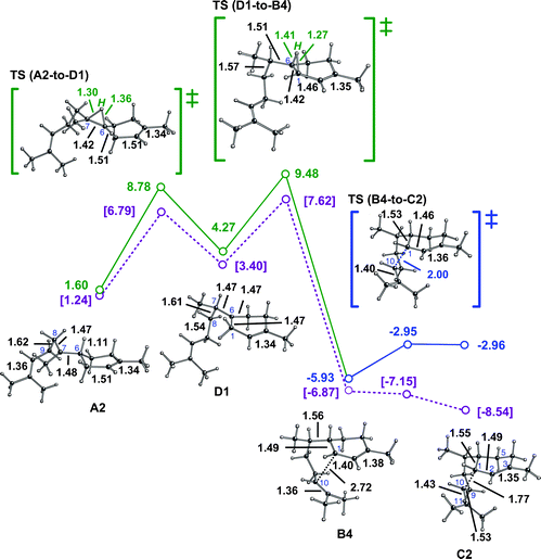 Conversion of A2 to C2via a pathway involving two 1,2-hydride shifts. Computed distances (Å) and energies (kcal mol−1) are shown (B3LYP/6-31+G(d,p)//B3LYP/6-31+G(d,p) in green and blue and mPW1PW91/6-31+G(d,p)//B3LYP/6-31+G(d,p) in plum and brackets). Note that the B4-to-C2 transition state structure is lower in energy than B4 at the mPW1PW91/6-31+G(d,p)//B3LYP/6-31+G(d,p) level (mPW1PW91 single point energies on geometries optimized with B3LYP), suggesting that this conversion may actually be barrierless.