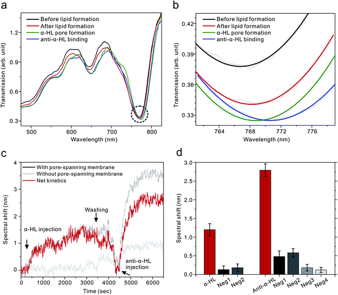 (a) Transmission spectra change before (black line) and after the formation of pore spanning lipid membrane (red line), after the formation of α-HL pore on the lipid membrane (green line), and after the binding of anti-α-HL (blue line). (b) Zoomed in spectra marked by dashed line in panel (a) where spectral shifts were monitored. (c) Real-time kinetic measurements of α-HL and anti-α-HL. For the positive control, 1 μM of α-HL was injected and incubated for an hour, and then 300 nM of anti-α-HL was injected for the binding with anti-hemolysin while negative control was performed with the same solutions on a lipid-free surface. (d) Spectral shift from the binding of α-HL and anti-α-HL with three negative controls: negative 1 is a lipid-free environment where pore-spanning membrane is replaced by a monolayer of APTES; negative 2 is a lipid-free environment where pore-spanning membrane is replaced by a layer of BSA; negative 3 is the same pore-spanning lipid environment as the positive control, but with the absence of α-HL; negative 4 is the same pore-spanning lipid environment as the positive control, but α-HL is replaced by BSA.