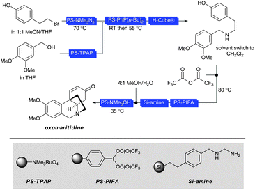 Continuous flow synthesis of racemic oxomaritidine (Ley26). PS = polymer supported.