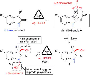 Strategy and proposed activation model; Nd* = chiral neodymium complex.
