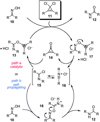 Mechanistic analysis of substoichiometric cyclopropenium-mediated Beckmann rearrangement.