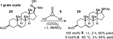 Preparative scale Beckmann rearrangement.