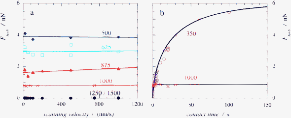 (a) Extrapolated adhesion force between two silica surfaces, connected by a capillary bridge of a complex coacervate phase, as measured by CP-AFM as a function of scanning velocity for different salt concentrations. The labels correspond to salt concentrations in mM KCl. (b) Change of the extrapolated attractive force with the time the two surface are kept in contact at a constant force for two salt concentrations. Labels as in (a). For a 350 mM KCl solution the kinetics of capillary bridge formation could be followed almost until completion by CP-AFM. For a 1000 mM KCl solution no change in the extrapolated force could be detected. The solid lines are fits of the experimental data to equation 4.
