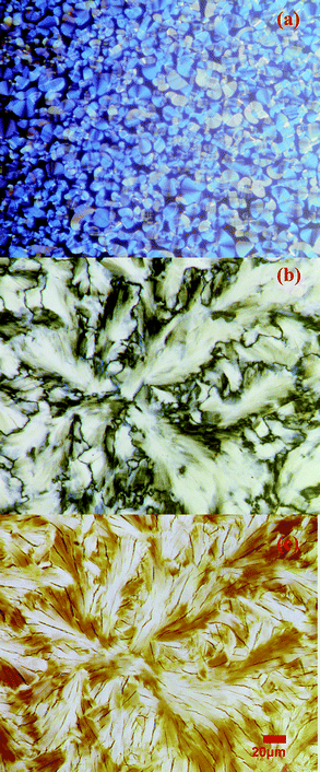 PLM textures of TQPP-[t-Bu]2-[OC11H23]4 at 220 °C (a), 170 °C (b), and 30 °C (c).