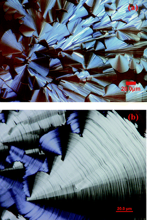 Liquid crystalline textures of TQPP-[t-Bu]2-[OC20H41B]4 at 130 °C (a) and 30 °C (b).