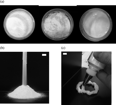 Photograph of (a) top view looking into the vessels of Fig. 2 for (left) 5 mM, (centre) 8 mM and (right) 100 mM SDS, (b) powdered ‘dry water’ composed of water drops stabilised by hydrophobic silica particles (4 wt%) in air passing through a glass funnel and (c) aqueous foam composed of air bubbles stabilised by a mixture of hydrophobic silica particles (4 wt%) and SDS surfactant (8 mM) in water extruded through a serrated nozzle. Scale bars = 1 cm.
