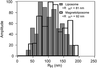 Representative size distributions of liposomes (grey bars) and magnetoliposomes (black bars) obtained by CONTIN analysis of the autocorrelation functions.